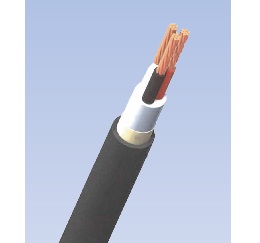 CV